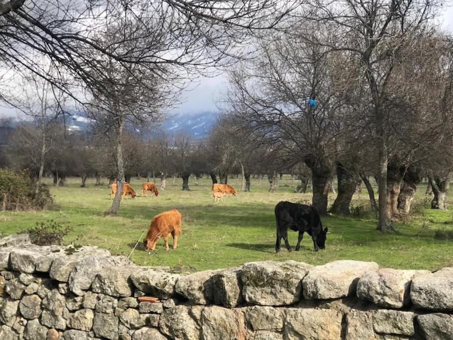 Апартаменти Guadarrama, Atico Nuevo Con Espectaculares Vistas Екстер'єр фото
